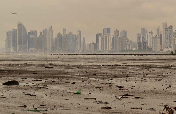 城市污泥烘干機(jī)市場分析 城市污泥烘干機(jī)市場分析