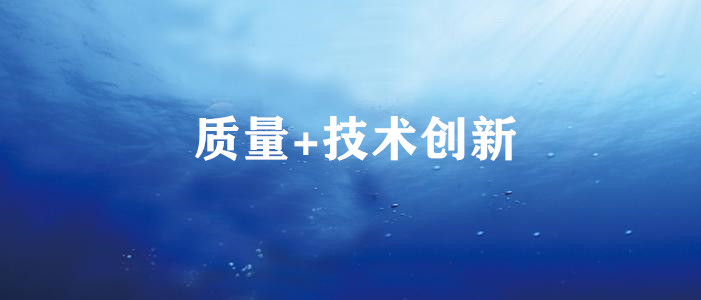 質(zhì)量+技術(shù)創(chuàng)新 質(zhì)量+技術(shù)創(chuàng)新