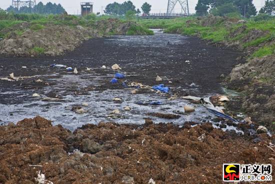 生活污泥 生活污泥